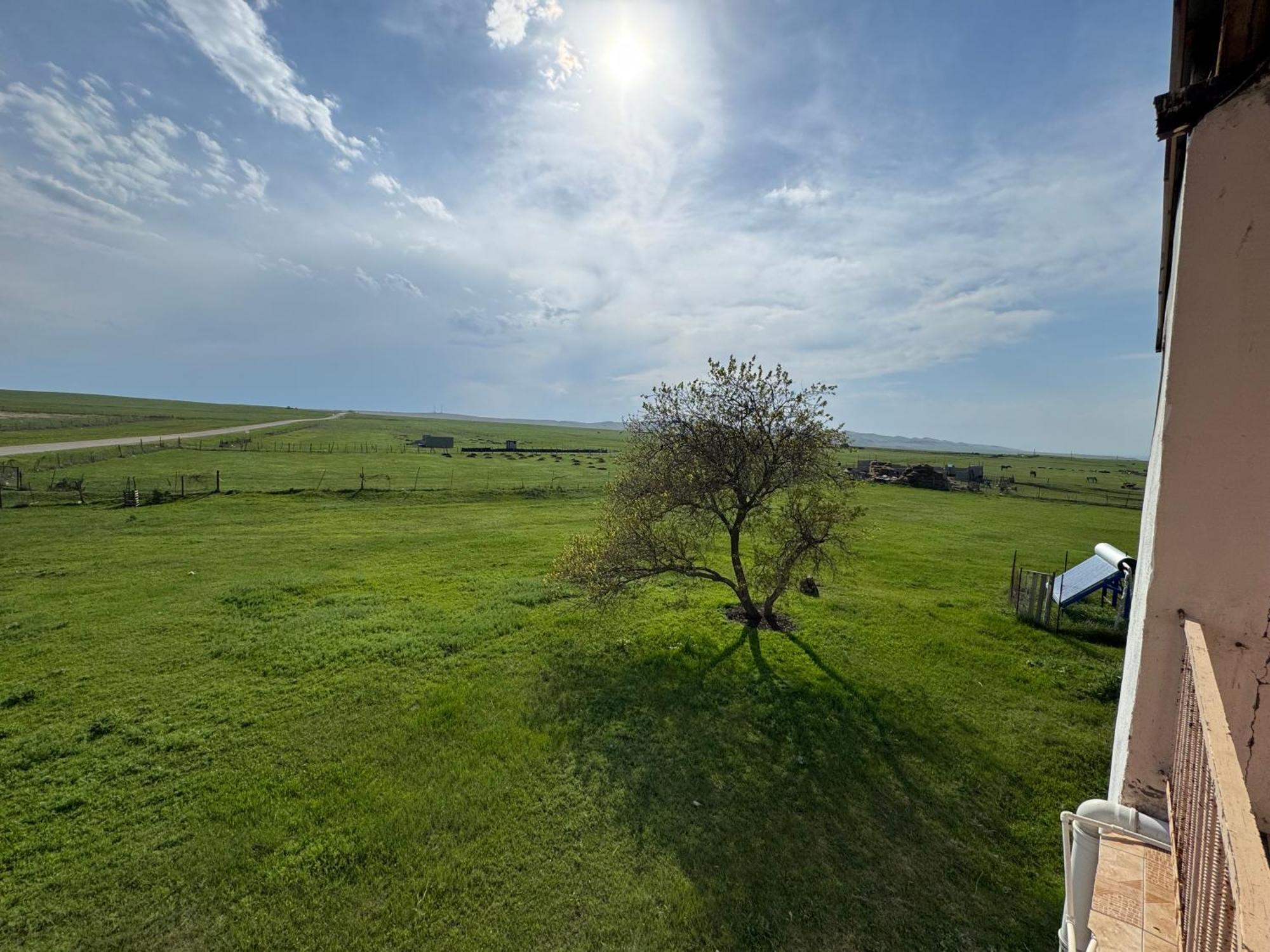 Guesthouse Gareji Udabno Zewnętrze zdjęcie